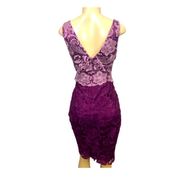 ADRIANNA PAPELL PURPLE & LAVENDER LACE SLEEVELESS VNECK MIDI DRESS SIZE 6 - Picture 4 of 7